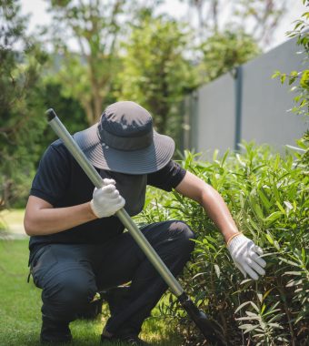 An Asian male shoveling in the backyard.