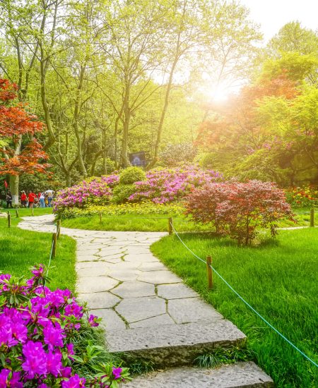 beautiful-green-park
