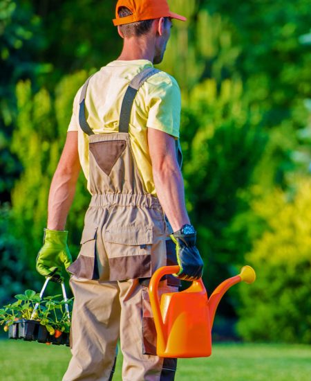 gardener-and-his-garden-job-2021-08-26-23-04-32-utc.jpg