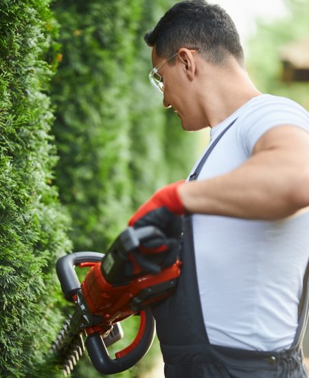 gardener-safety-glasses-gloves-pruning-hedge
