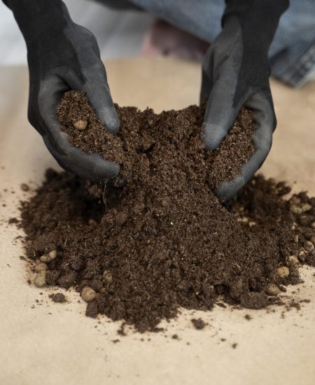high-angle-hands-holding-potting-soil